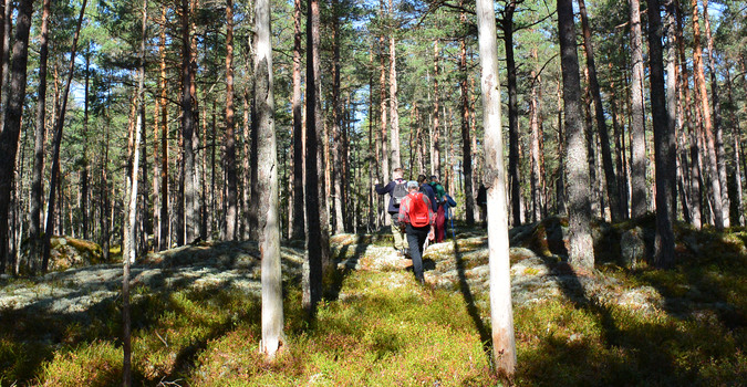 Naturguidning i Strussjöskogens naturreservat.