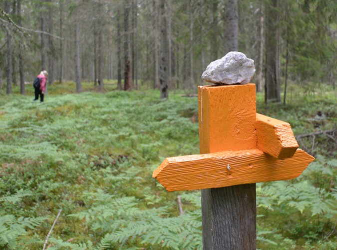 En stolpe som är målad orange med pilar. På stolpen ligger en liten sten och i bakgrunden syns en person som går i skogen.