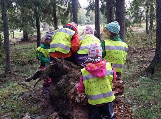 Barn från Brenäs förskola upptäcker naturen